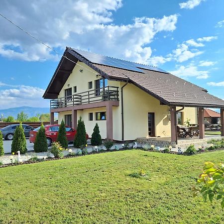Pensiunea Daria Hateg Bagian luar foto