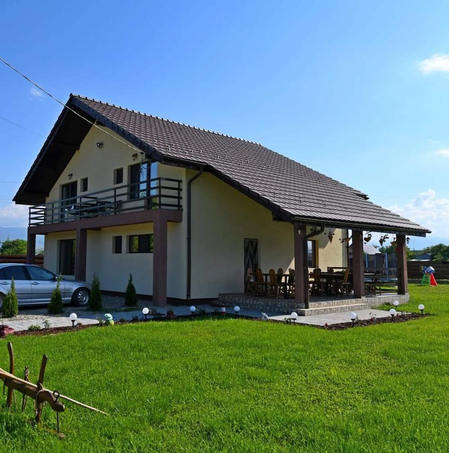 Pensiunea Daria Hateg Bagian luar foto