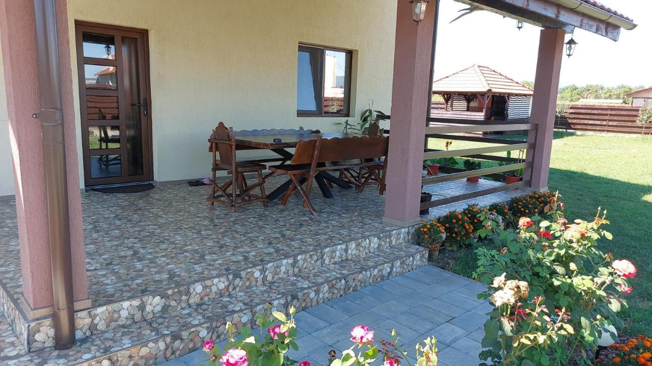 Pensiunea Daria Hateg Bagian luar foto