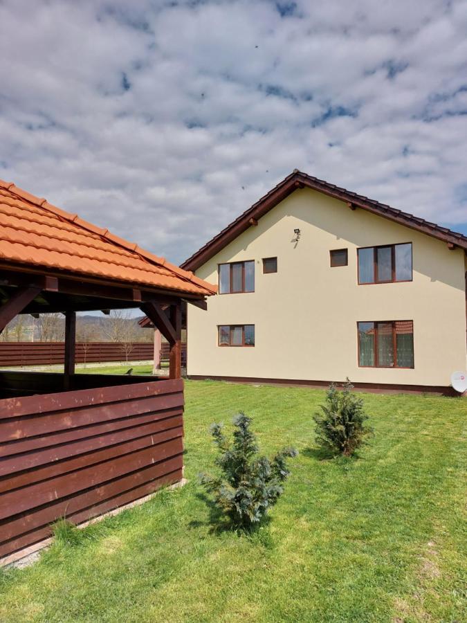Pensiunea Daria Hateg Bagian luar foto