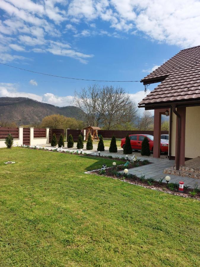 Pensiunea Daria Hateg Bagian luar foto